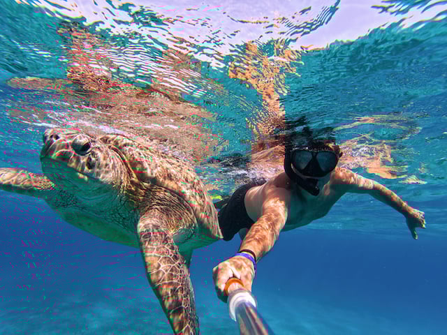 Un homme pratiquant le snorkeling