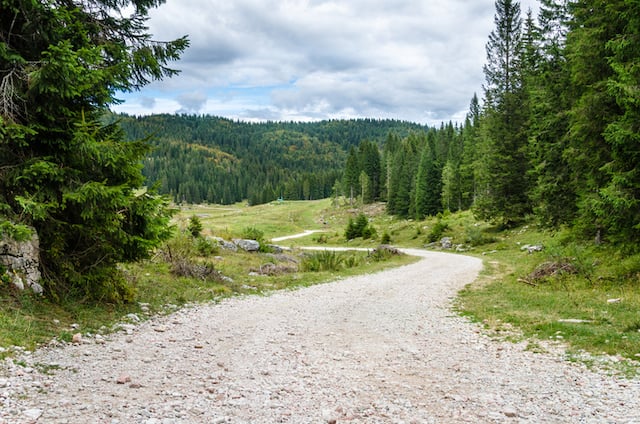 Chemin 