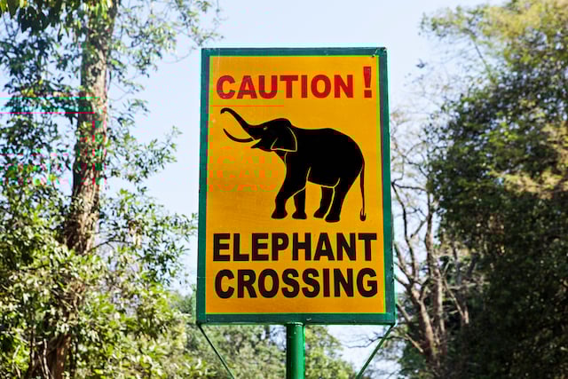 Panneau indiquant le passage d'éléphants sur la route
