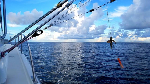 Bateau de pêche 