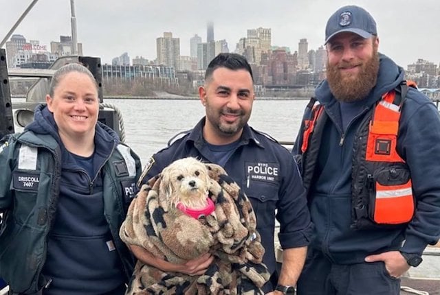 Les policiers et Hudson après le sauvetage