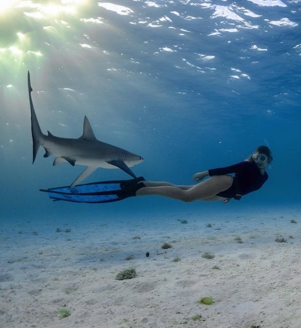 Anika Craney en train de nager avec un requin