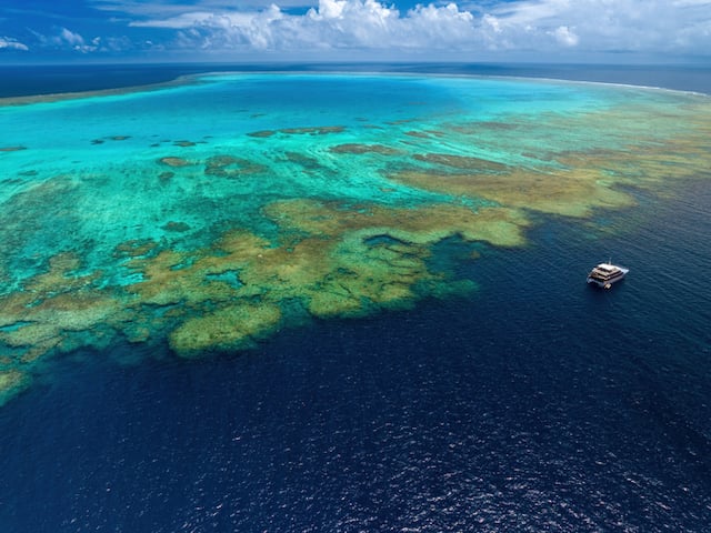 Grande barrière de corail 