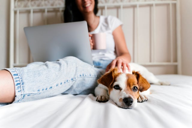Une femme qui caresse son chien depuis son lit 