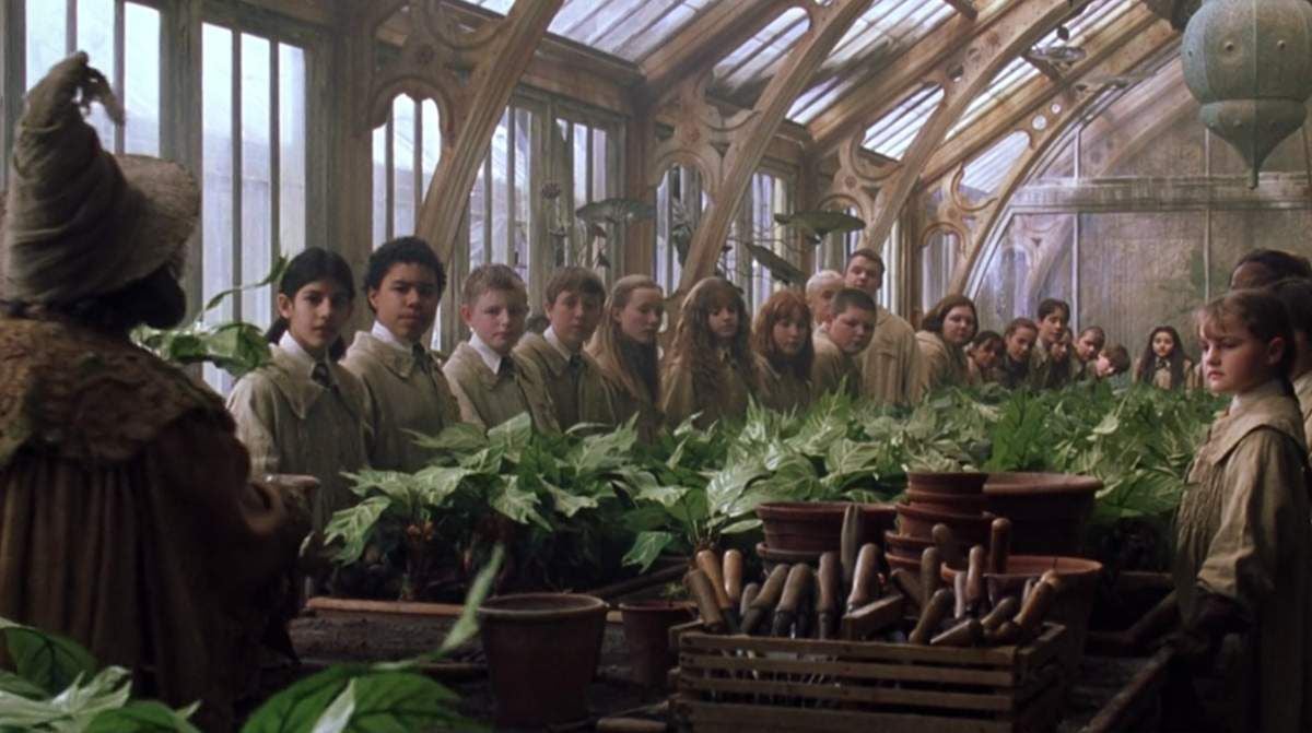 Les élèves en cours de botanique dans Harry Potter