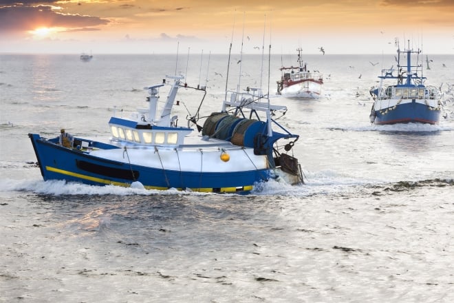 des bateaux de pêche en mer