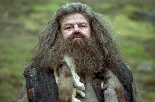 Hagrid