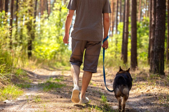 Un homme qui promène son chien