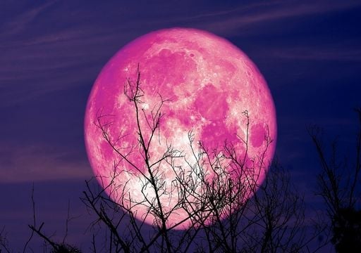 La Pleine Lune des Fraises