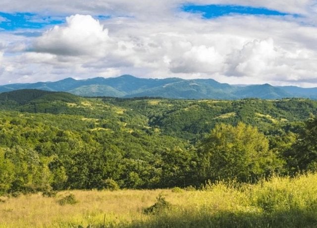 Paysage de montagnes 