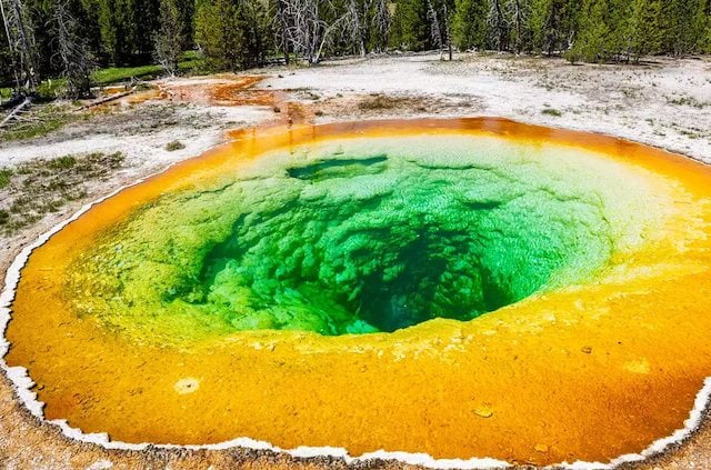 Le geyser d’Old Faithful