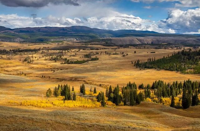 Parc national de Yellowstone