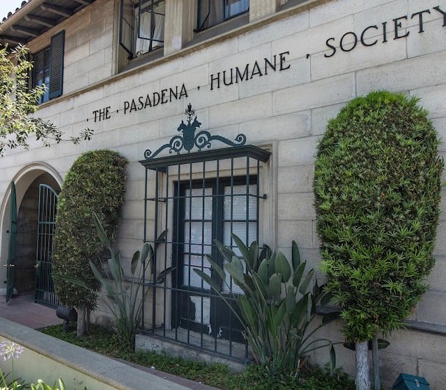 Pasadena Humane Society