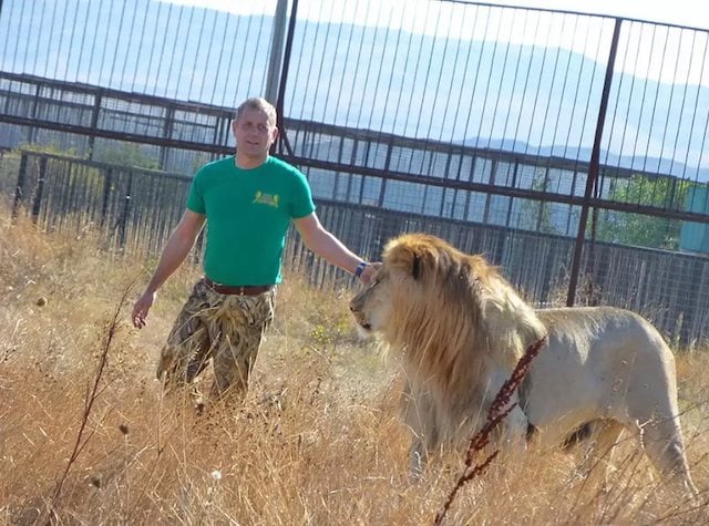 Oleg Zubkov en train de marcher au côté d'un lion