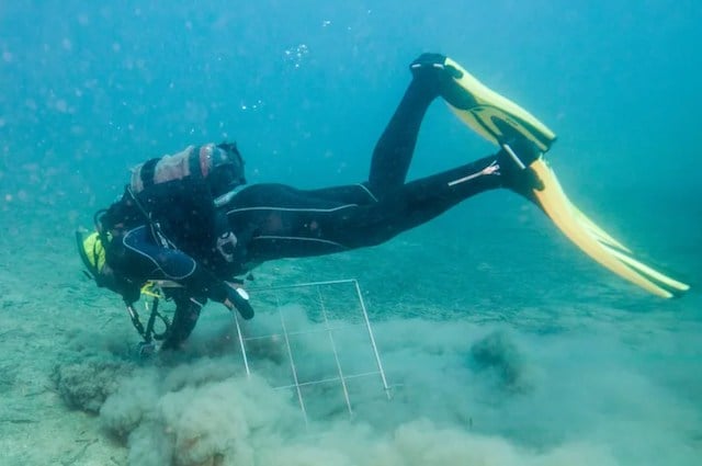 Un plongeur explorant les eaux d'un lac 