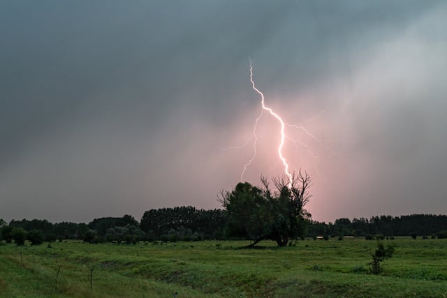La foudre qui s'abat en pleine forêt 