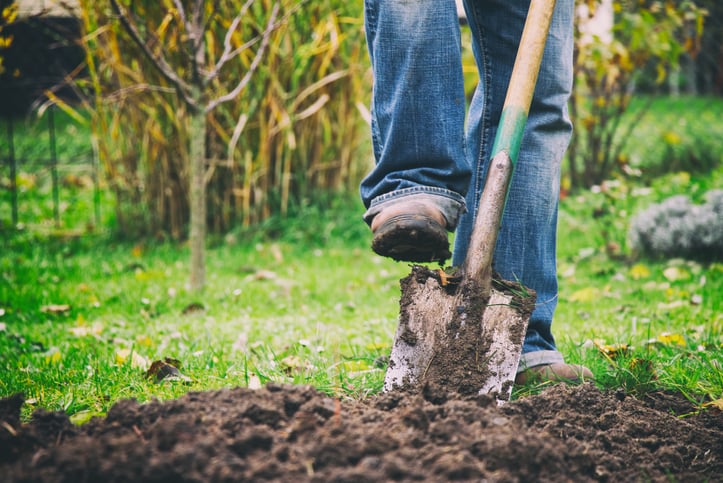 Un homme creuse un trou dans la terre