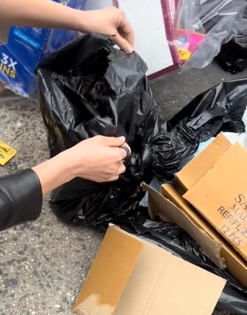 Capture d'écran TikTok