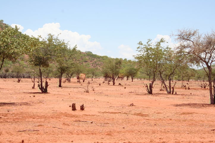 Un paysage en Afrique