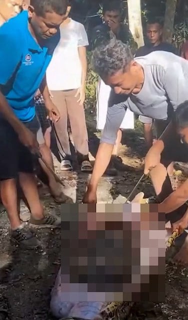 Les villageois en train d'ouvrir l'estomac du python 