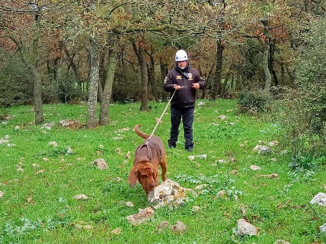 Le chien Bruno et son dresseur 