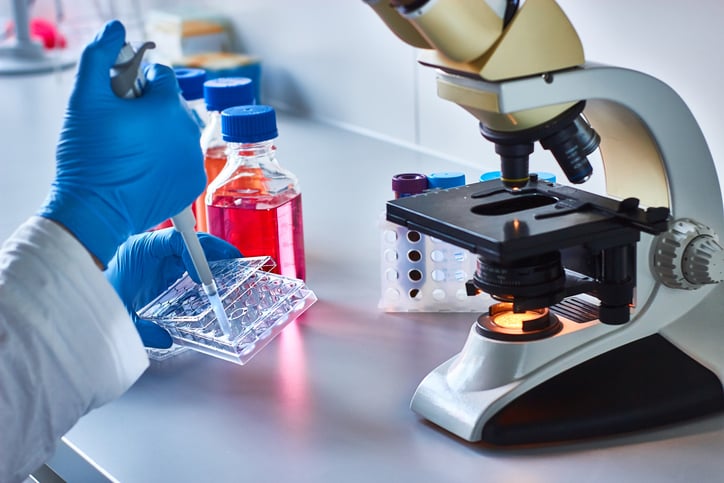 Des recherches dans un laboratoire