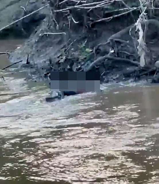 Image montrant le crocodile en train d'attraper l'adolescent 