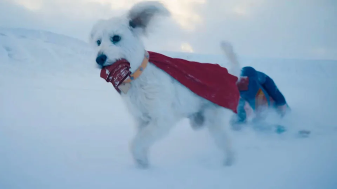 Le chien Krypto