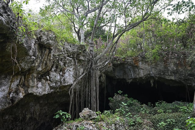 Grotte dans la jungle