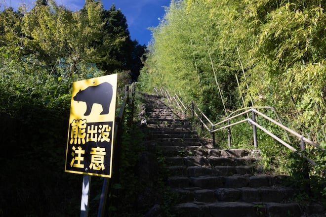 Un panneau alertant la présence d'ours