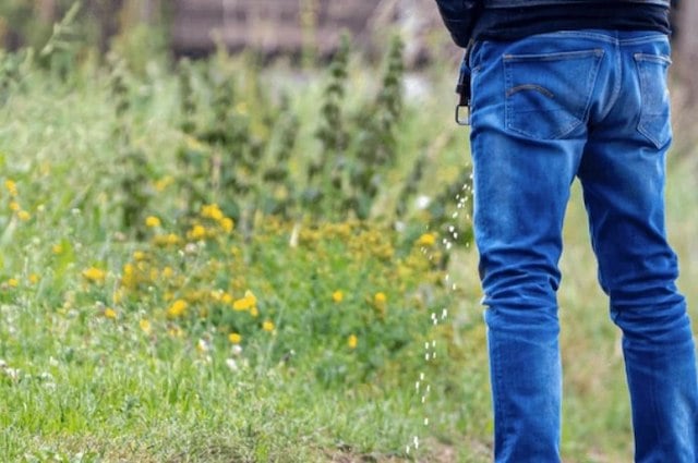 Un homme en train d'uriner dans la nature
