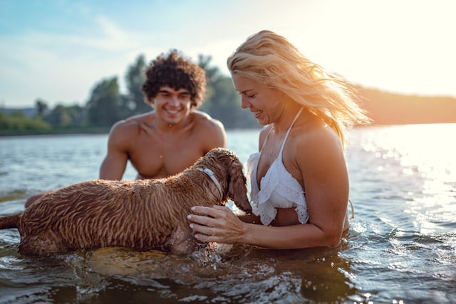 Un couple nageant dans l'eau avec son chien