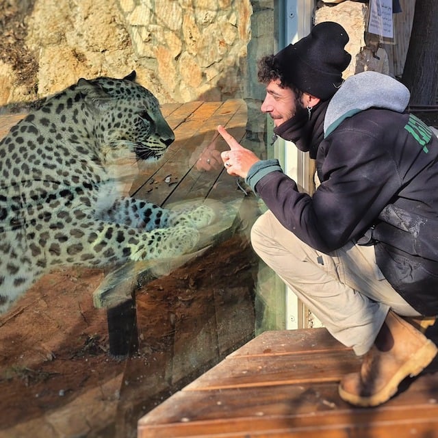 Le soigneur Uriel Nuri en train d'interagir avec un fauve du zoo biblique de Jérusalem