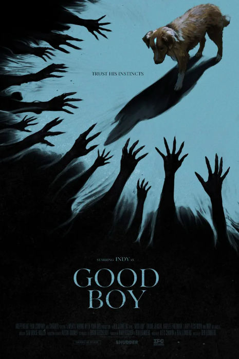 Affiche du film The Good Boy