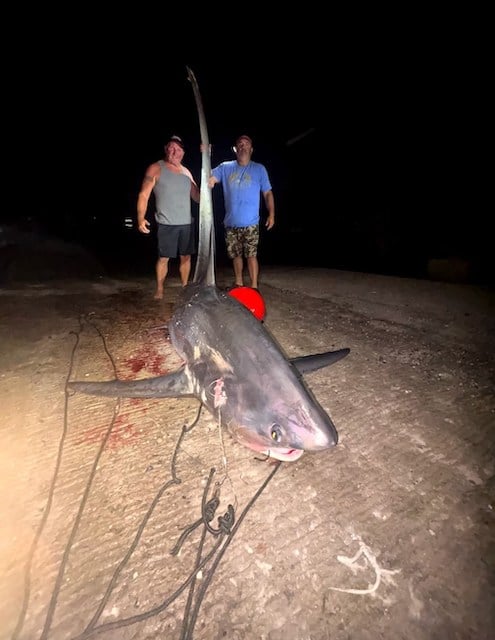 Les deux pêcheurs et le requin