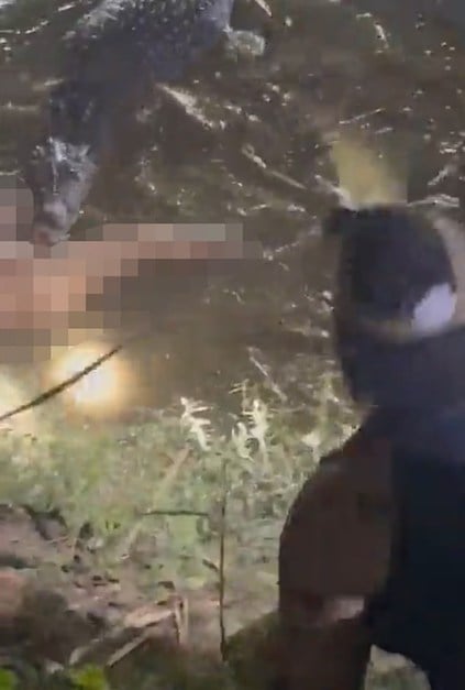Capture d'écran montrant le crocodile transportant le corps sans vie du villageois 