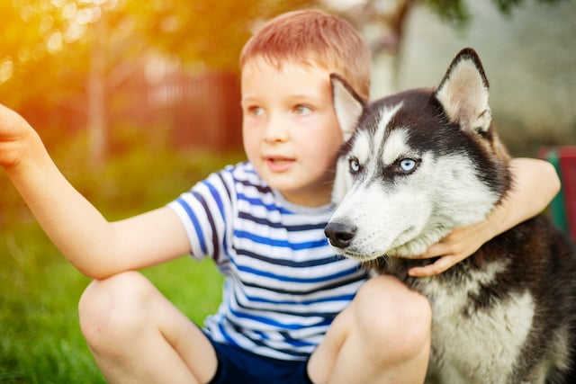 Un enfant qui tient par le cou un husky