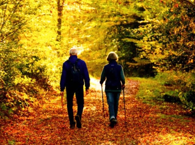 Un couple de randonneurs âgés en train de marcher dans une forêt 