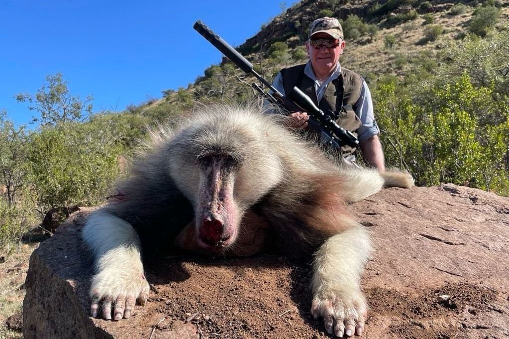 Le chasseur et le babouin mort 