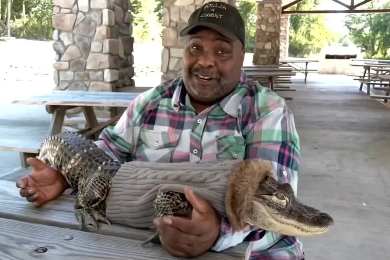 Wesley Silva et son alligator de compagnie 
