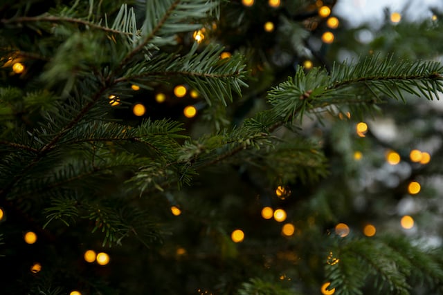 Arbre de Noël