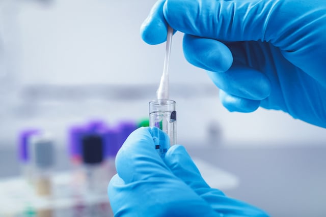 Gros plan sur des mains en train de manipuler un échantillon dans un laboratoire 
