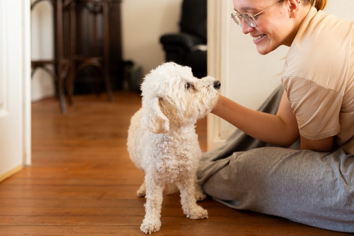 Une femme caresse un chien