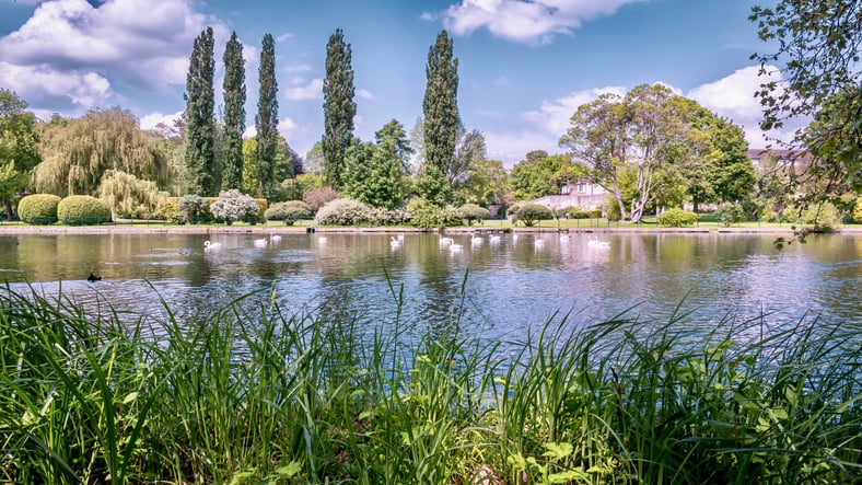 Les jardins du château de Chantilly