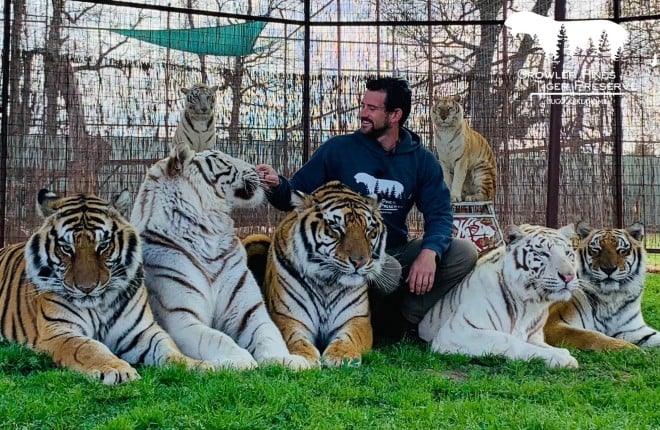 Ryan Easley et les tigres du parc