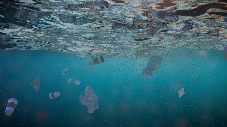 La pollution des océans