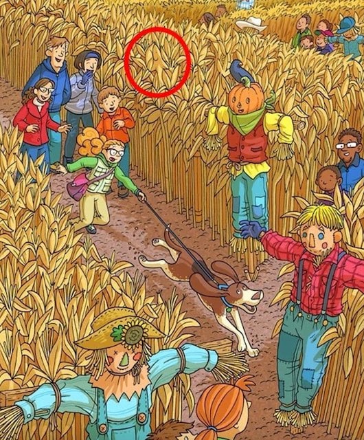 Illusion d'optique