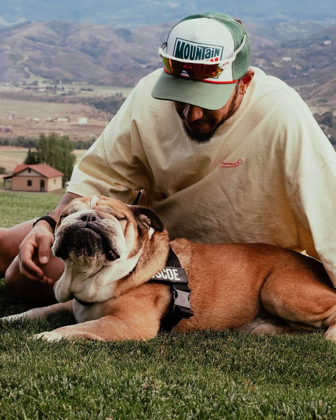 Lewis Hamilton et Roscoe