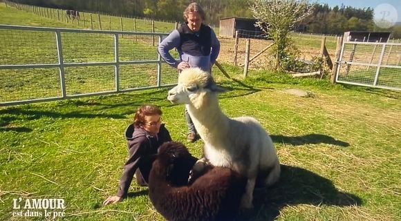 Géraldine et son prétendant près des alpagas