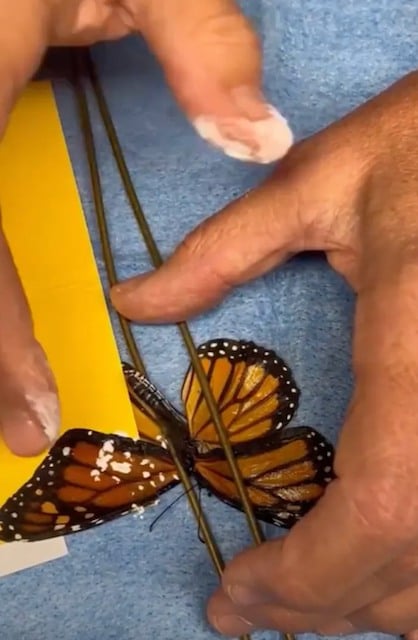 Capture d'écran montrant l'intervention 